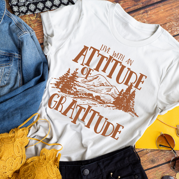 Live with an attitude of gratitude - 1