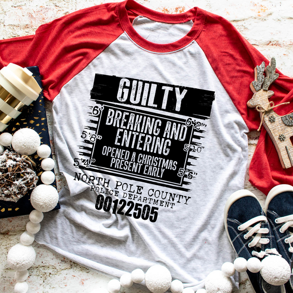 Guilty of breaking and entering - opening Christmas presents early - 1