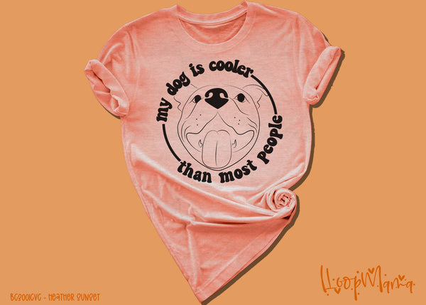 My dog is cooler than most people - 1