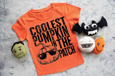 Coolest pumpkin in the patch